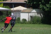OTFL Gallery Image